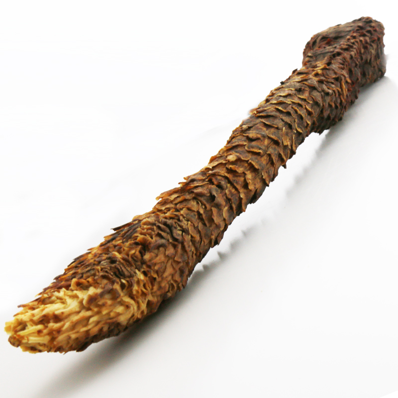 肉苁蓉整根阿拉善野外生长内蒙古油苁蓉泡酒中药材 肉苁蓉整根2根共