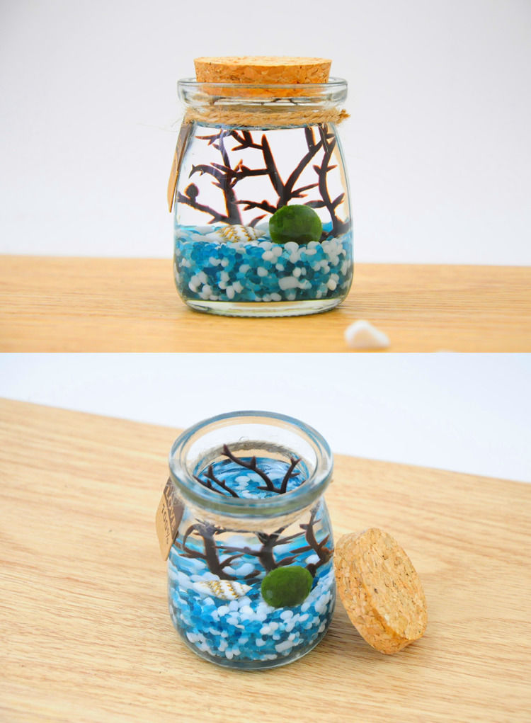 精选直发苔藓微景观海藻球生态瓶水培植物球藻diy球藻浮萍小礼品生日