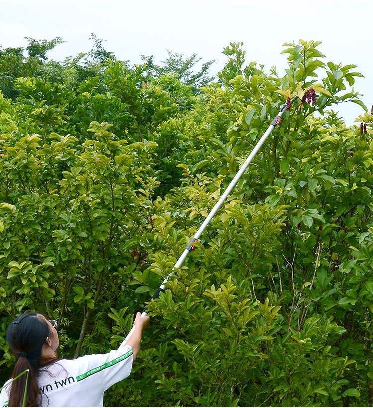 高空神器伸缩摘水果高枝剪伸缩5米摘荔枝龙眼枇杷修树采果长剪刀劲诚