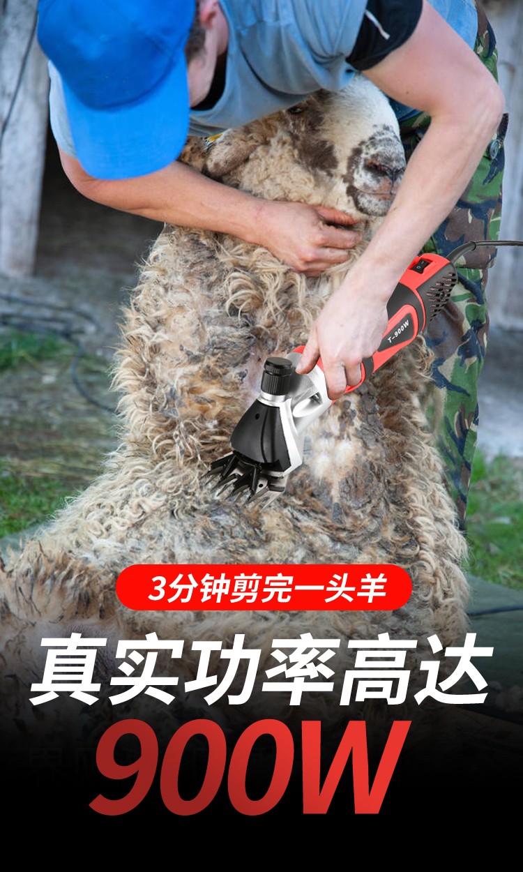 电动羊毛剪刀推子北元刀片剪毛机羊毛剪动物剪毛机红款豪华款配13弯刀