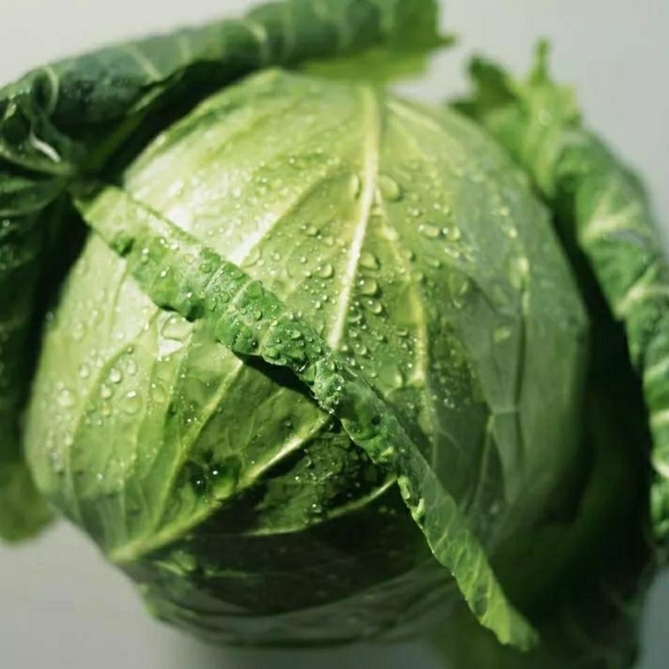 媚调 农家自产新鲜包菜甘兰新西兰莲花白菜应季蔬菜圆心菜批发 净重4