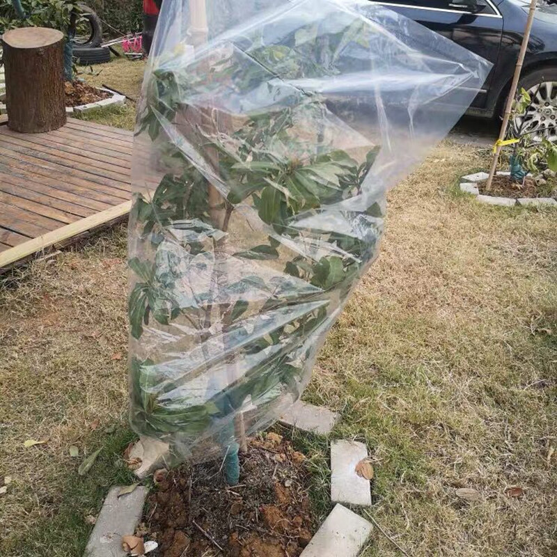 花卉防冻保温膜 植物防冻保温罩盆栽防寒套鲜花卉果树木苗过冬季保温