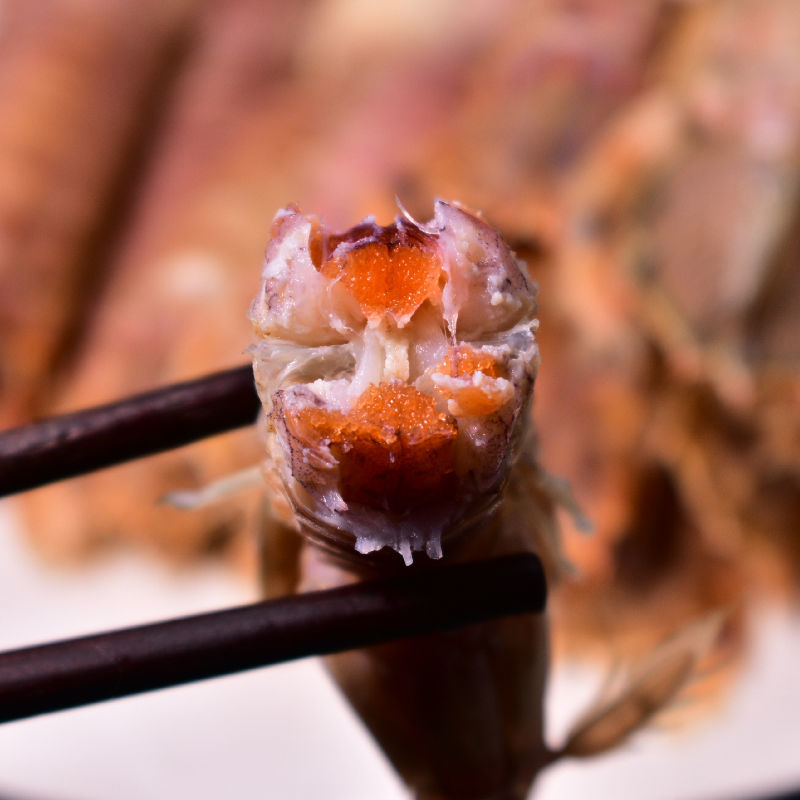 全母带膏爬虾子新鲜熟冻皮皮虾生鲜 帕雅尔克 大号全母 带黄膏【11-15