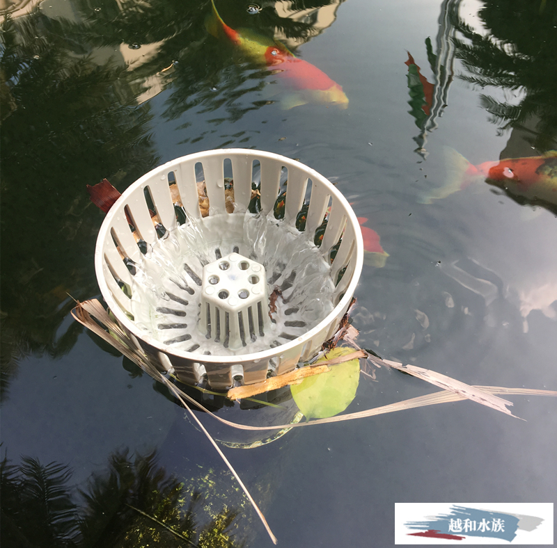2022新款鱼池排水口配件日胜过滤式水面排水口面吸阻挡饲料落叶防锦鲤
