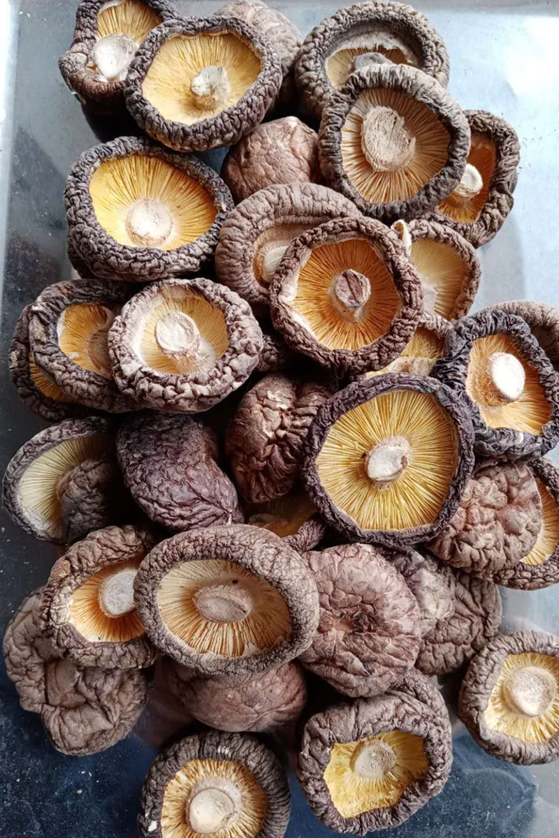 5折农家香菇干货500g干蘑菇商用散装冬菇厚肉椴木野生干香茹500g