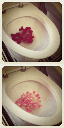 工程陶瓷粉碎马桶虹吸式一体坐便器节能静音酒店抽水直冲马桶墙排