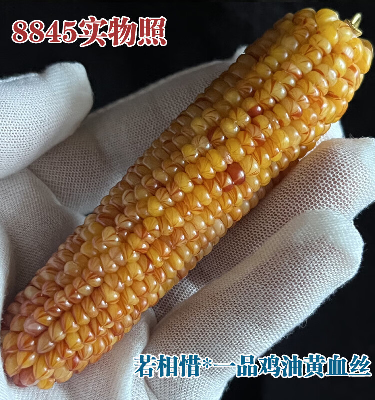 a38199f08223bf50.jpg