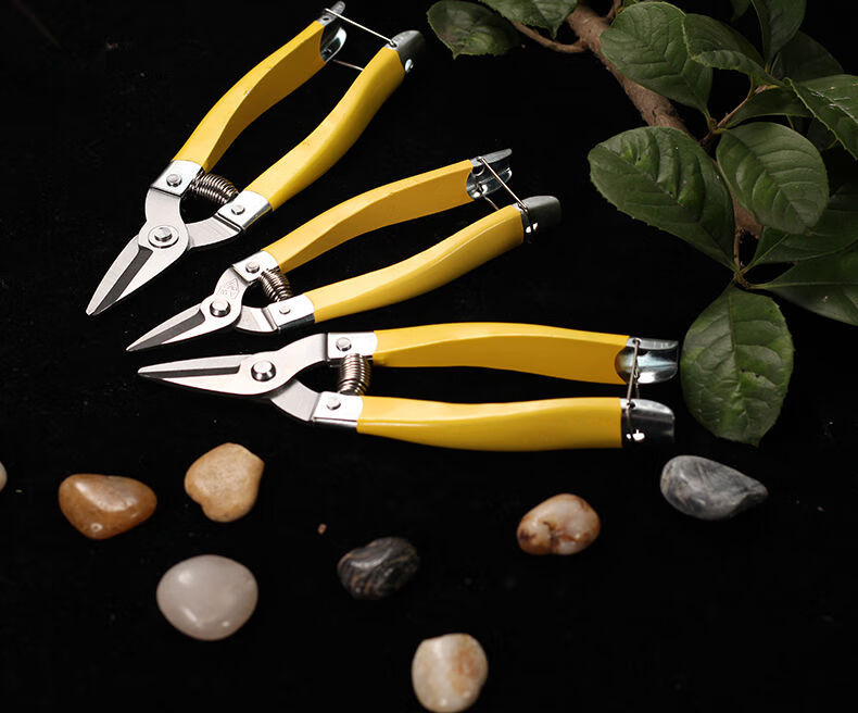 不锈钢剪刀葡萄剪桔子剪番茄剪摘果剪蔬果剪花椒剪直头打齿剪10把