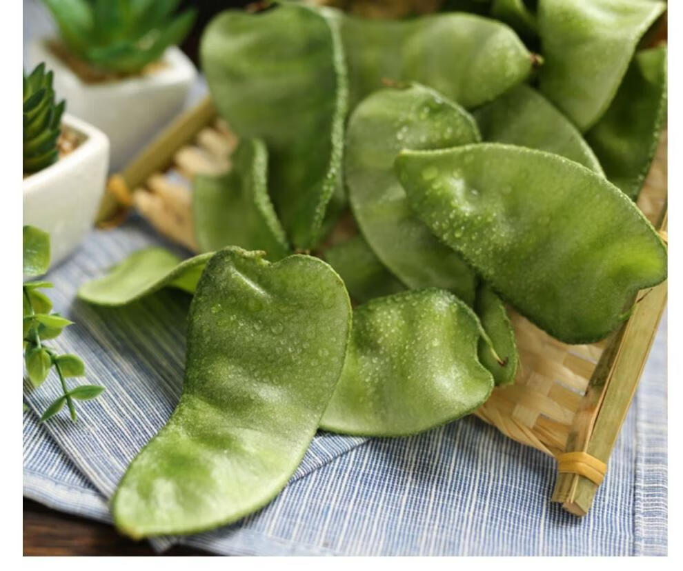 顺丰速发东北气豆角片刀农家扁豆绿眉梅豆汽豆猪耳朵新鲜蔬菜顺丰3斤