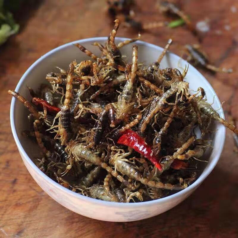 油炸 沂蒙十足全蝎全蝎沂蒙山珍活即食 原味 10只公蝎【图片 价格