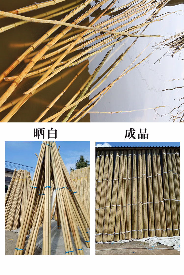 c9b1a1063f70ce54.jpg.avif