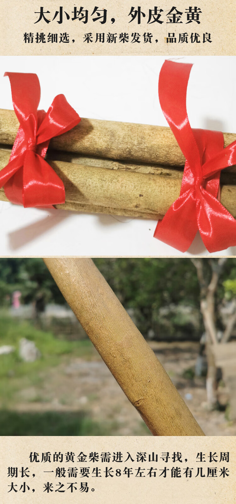 黄金柴新房进火乔迁新居搬家木柴柴火入宅入伙新店公司开业黄荆柴