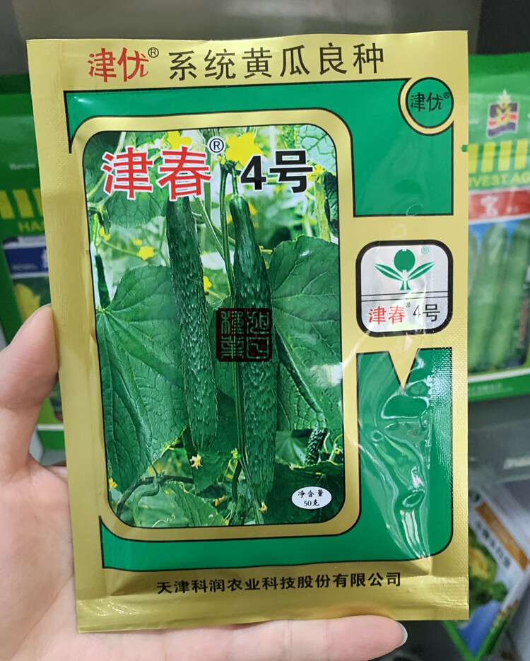 津春5号4号黄瓜种子津优1号10号春秋四季夏季耐热蔬菜种子津春5号原装