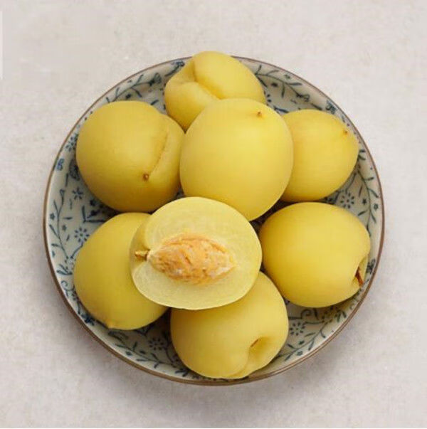 广西腌制酸桃子城隍发记酸料酸野酸嘢腌酸杨桃萝卜木瓜李子包菜900克