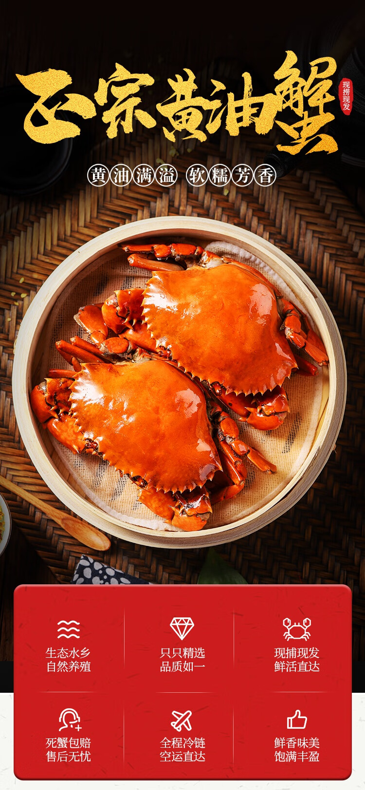 【顺丰空运-包活到家】正宗头手黄油蟹单只7两鲜活螃蟹特大海鲜超朴
