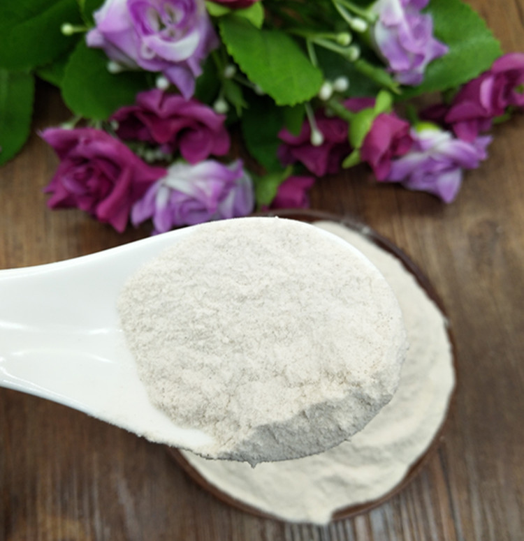 乌贝散现磨乌贼骨粉贝母粉乌贝散健康之路