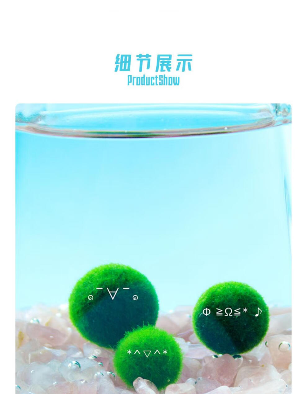 黎秋科 marimo马里莫「幸福球藻」特别可爱水培萌宠海藻球炸毛君新奇
