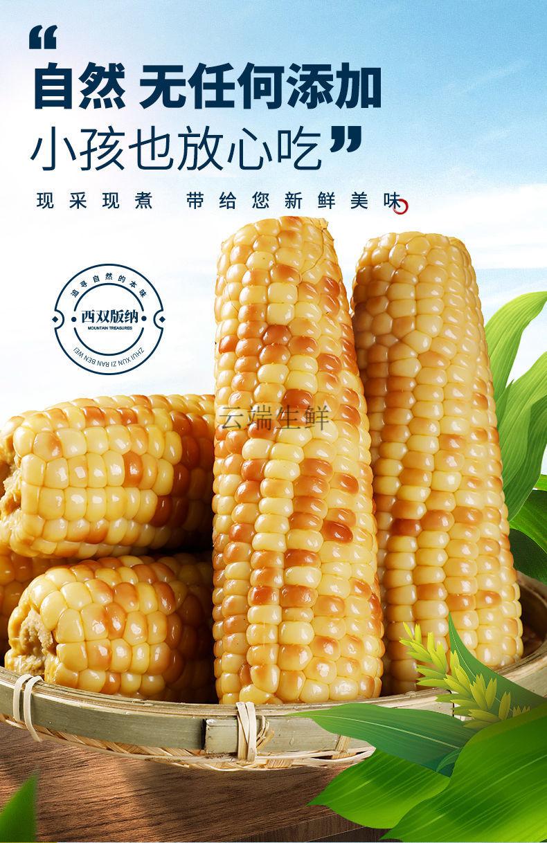 云南西双版纳香糯新鲜真空免煮即食熟黏糯米包谷袋装整箱小花糯玉米3