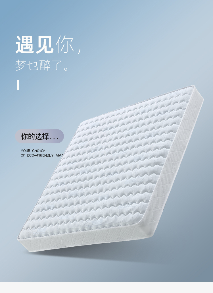 2022新款特莱卡床垫席梦思弹簧床垫经济型软硬两用20cm厚15米18m乳胶