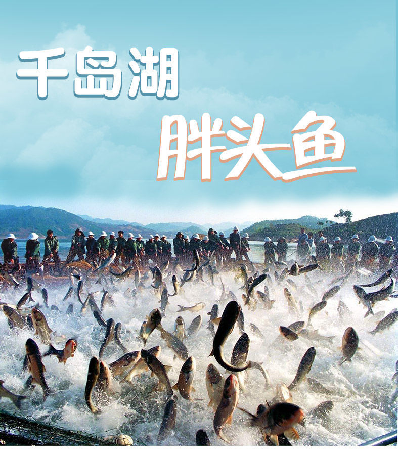千岛湖大鱼头广告图片