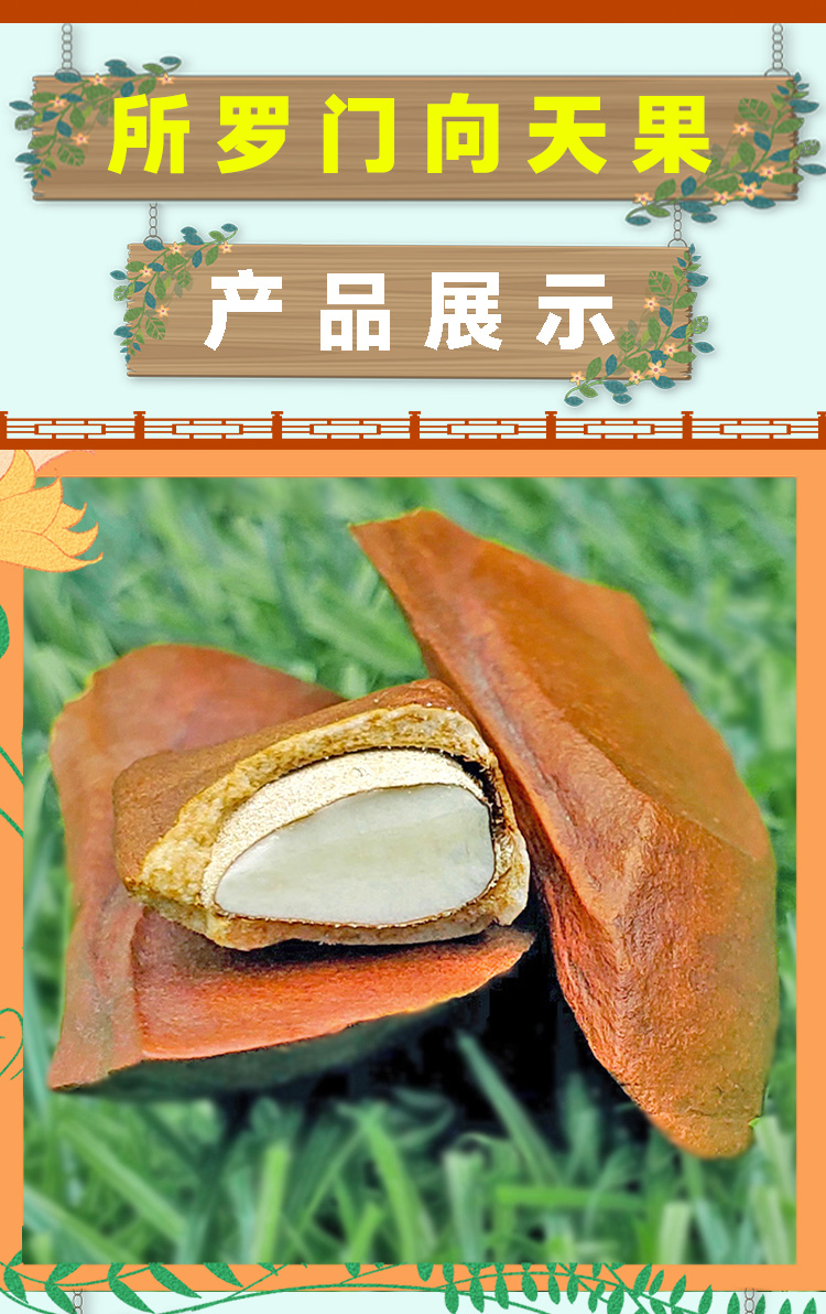 所罗门向天果野生特级新鲜药材粉原装进口珍的功效向天果果仁原味