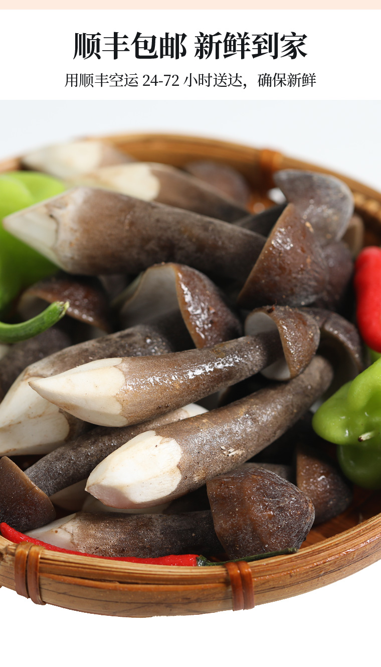 云南鸡枞菌特产黑皮鸡纵菌新鲜黑鸡众菌半野生鸡种菌蘑菇菌菇500g