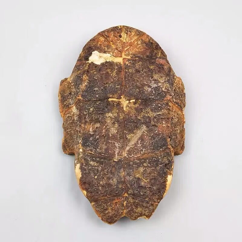 龟板中药材制龟板炙龟板醋龟板生龟板龟下甲新货醋制龟上甲500克