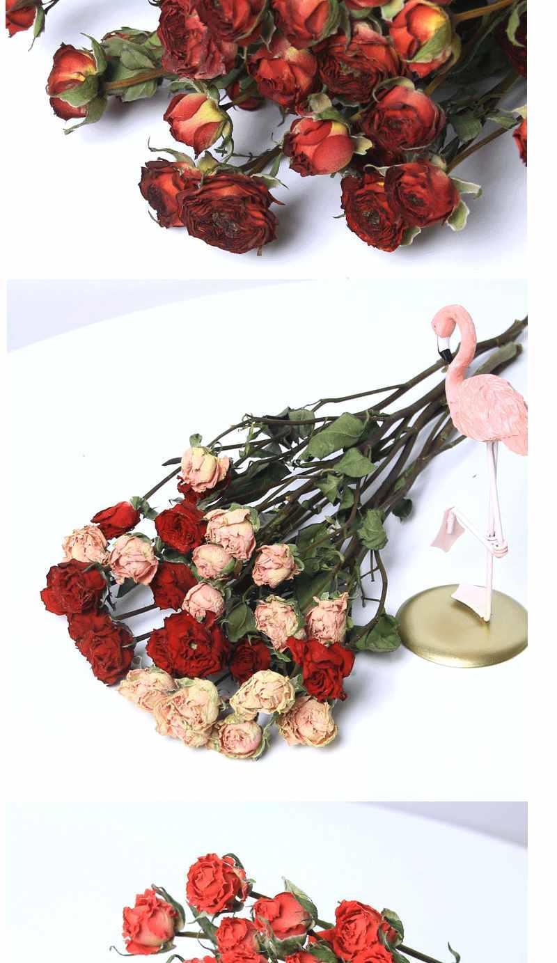 soumiety爱满多头玫瑰干花蔷薇浪漫泡泡小清新干花束ins北欧风家居