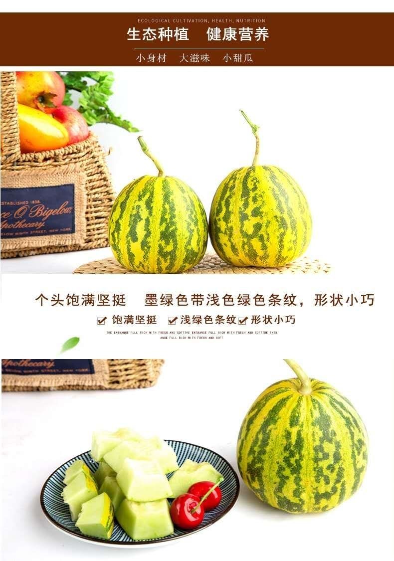 花仙子甜瓜花蕾甜瓜八里香香甜糯非博洋9号羊角蜜绿宝甜瓜东北博洋九