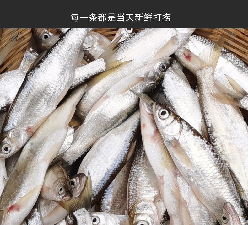 刁子魚餐條柳葉魚翹嘴小河魚白絲魚現殺去腸現發 中小號混合 一斤白條