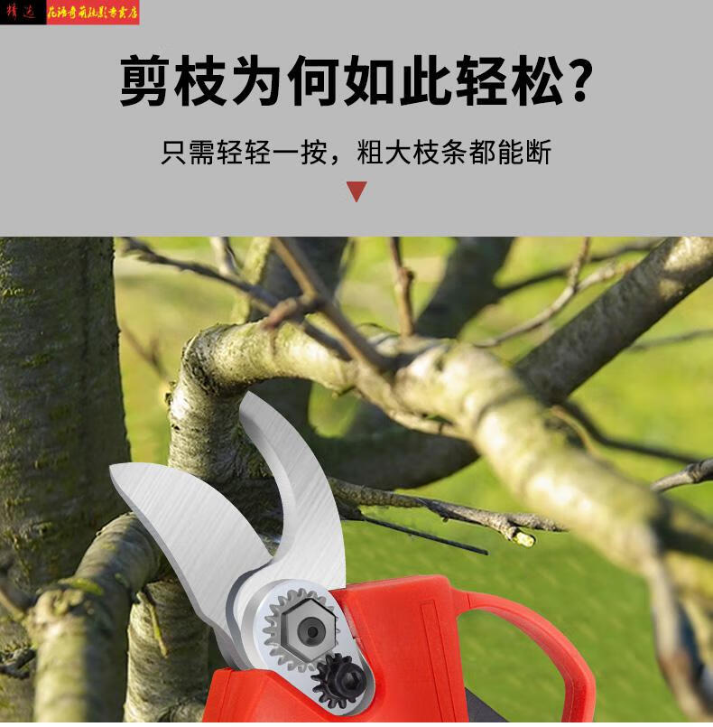 剪修剪樹枝剪刀摘果神器花木果樹省力剪子電剪刀裸機不含電池和充電器