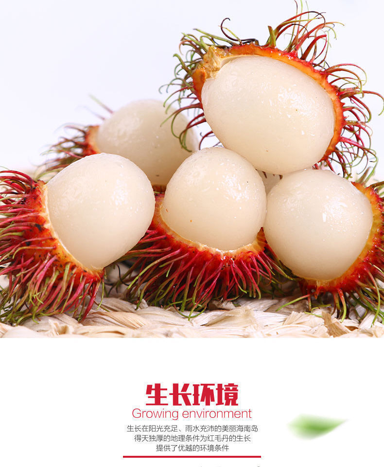 红毛丹热带正宗新鲜当季水果毛荔枝现摘毛丹红 1斤装【图片 价格 品牌