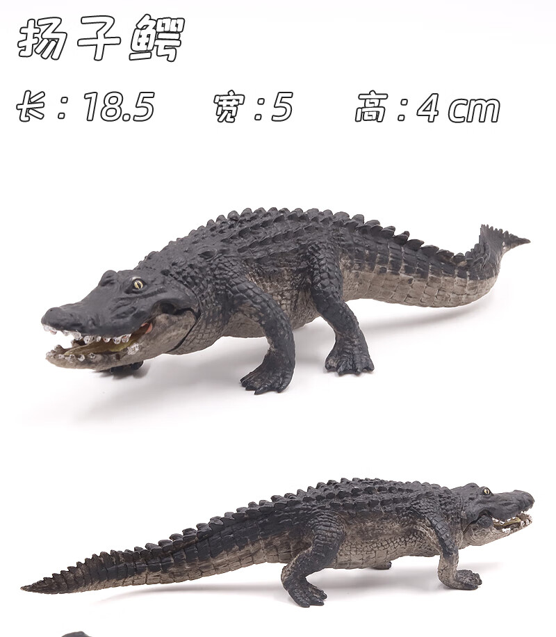 嘴巴可动的鳄鱼玩具实心仿真鳄鱼模型尼罗鳄扬子鳄野猪鳄短吻鳄动物