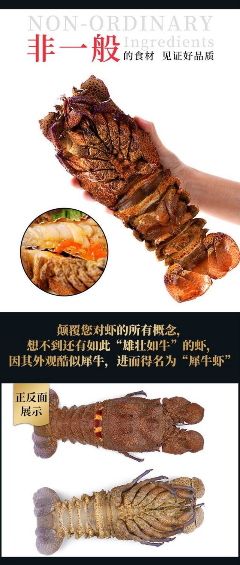 棠鲜生 犀牛虾新鲜海捕大虾 海鲜水产大龙虾 犀牛虾 400-500g/只