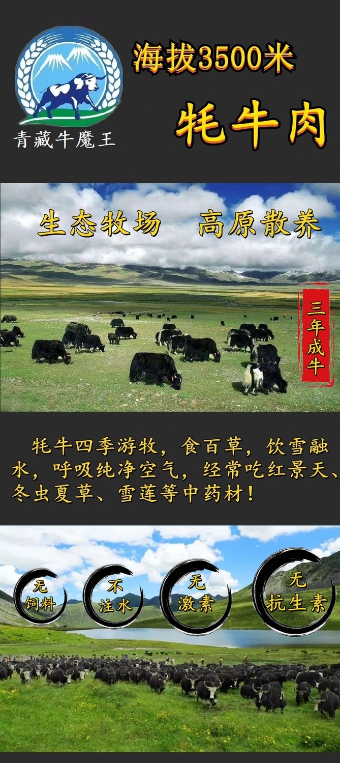 青海牦牛新鲜现杀牛腿肉肉肉牛耗火锅食材 牦牛里脊(适合炒-涮-煎) 4