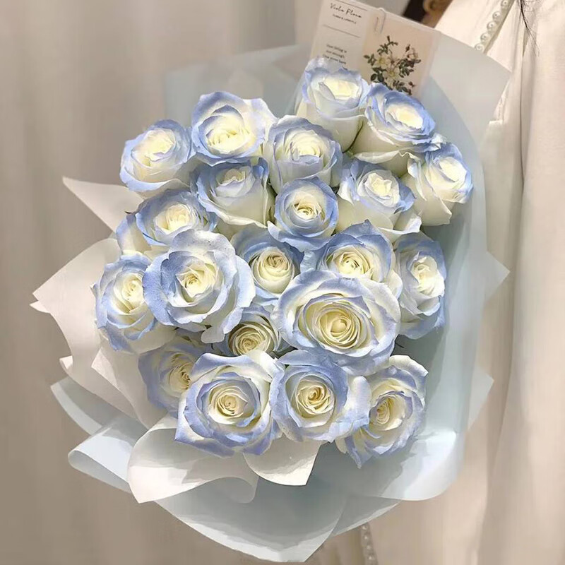 密西根碎冰蓝渐变色玫瑰花束重庆鲜花速递同城北京上海合肥天津广州
