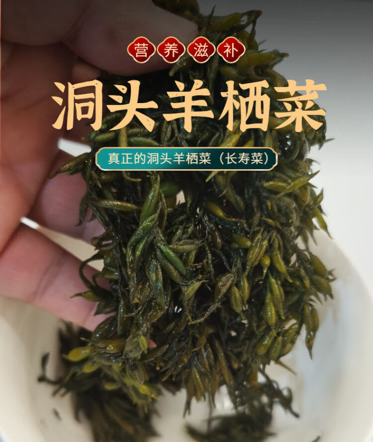 温州洞头特产羊栖菜干品羊栖菜长寿菜鹿角菜海草可凉拌炖汤山大麦