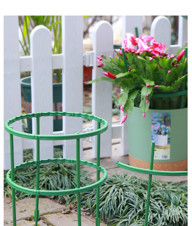 蟹爪兰专用支架多肉太阳花支撑防倒伏可拼接盆栽花卉护叶花架可拼接u