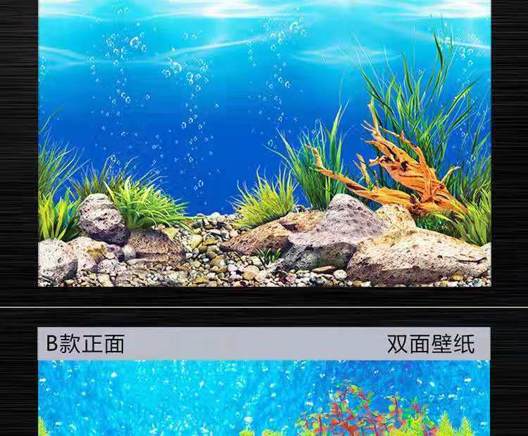 鱼缸背景贴纸高清图3d立体水族鱼缸壁纸造景装饰珊瑚石纸画背景画h款