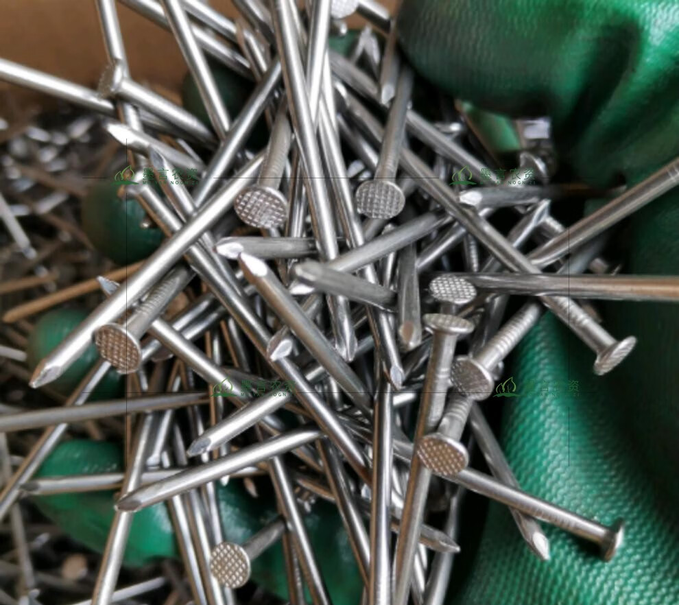 『精选好物』铁钉铁钉子木工小钉子家用圆钉小洋钉8分1 2 3 4 5 6寸 4