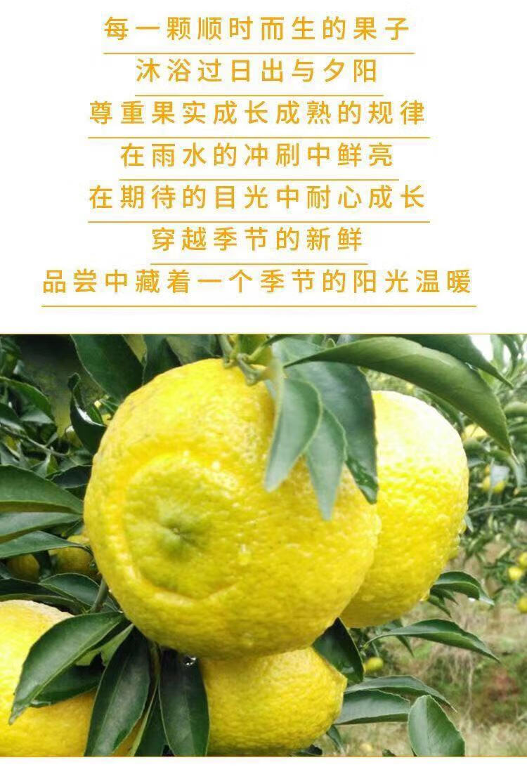 可选礼盒装湖南怀化黄金贡柚洪江小柚子象山青春香柚新鲜皇帝贡柚10斤