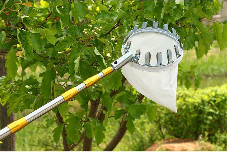 摘柿子专用工具摘果器多功能不锈钢伸缩摘果神器高空采摘 4米白杆 摘