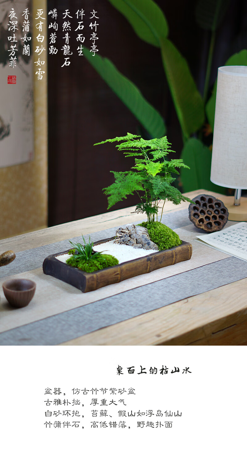 盆栽孤城文竹盆景苔藓枯山水中式禅意日式茶桌办公桌面盆栽 孤城(文竹