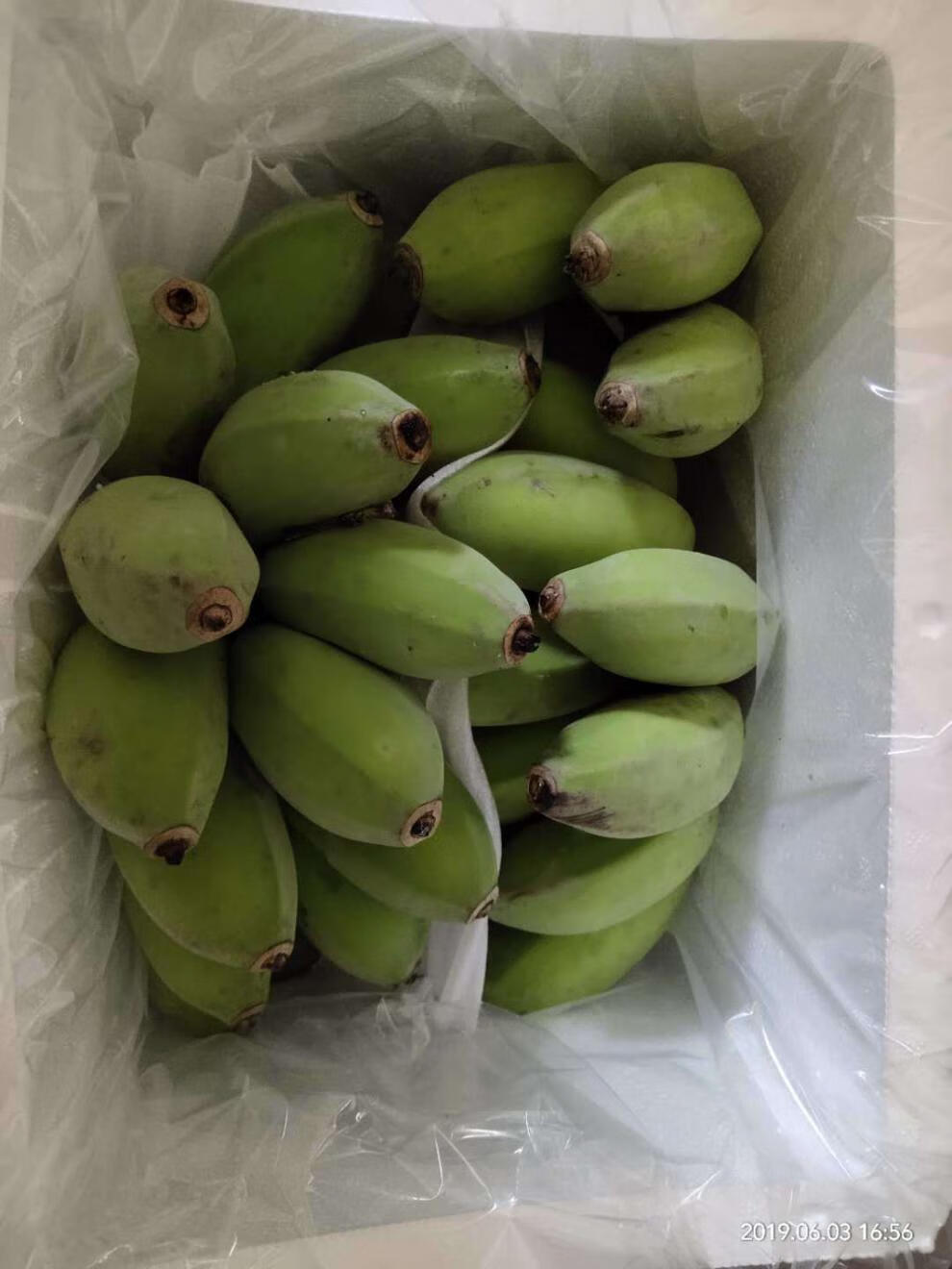 广西苹果粉蕉 苹果蕉 西贡蕉 现摘新鲜青蕉发货坏包赔 苹果蕉3斤