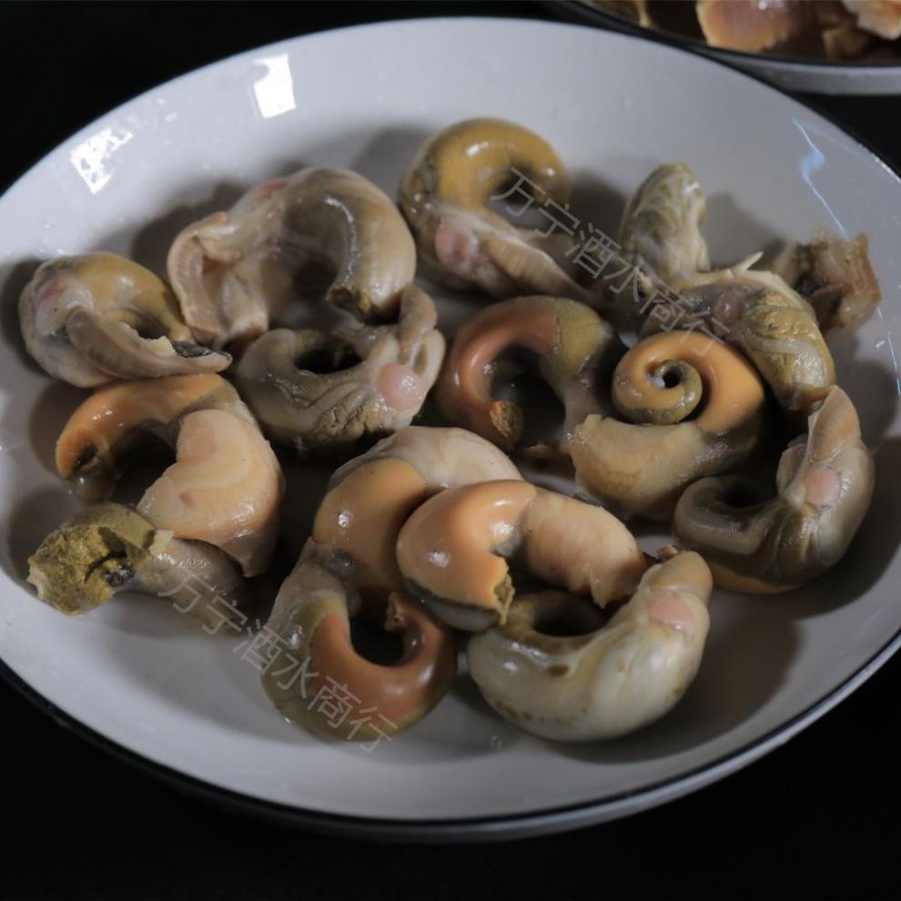 顺丰顺丰直达香螺鲜活猫眼螺玉螺活体发货海鲜螺类当天海捕吐沙现发3