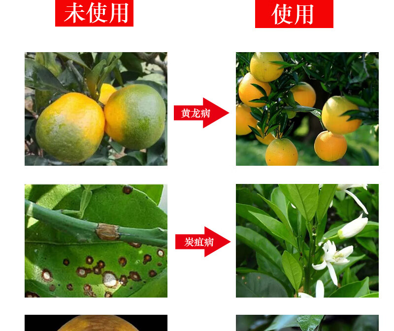 柑橘病全治杀菌剂柑橘黄叶煤污病疮痂病炭疽黄龙病专用药北美农大2箱