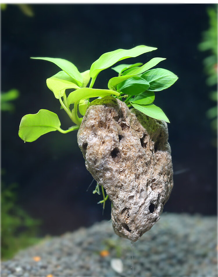 2021新品浮石鱼缸造景仿真漂浮石侧面岩石悬浮石水族装饰造景石u780s