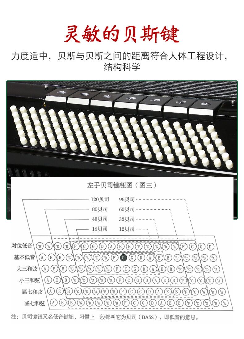 全新手风琴成人儿童60贝司96贝斯120三排簧初学者演奏乐器定制款72