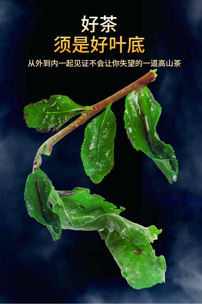 五折茗主铁观音冰茶新茶散装安溪兰花香铁观音茶叶带梗鲜茶500g非