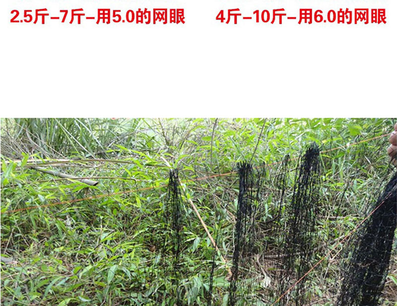 芊阙捕蛇网户外尼龙网蛇袋子防蛇网 蛇笼子蛇袋子笼子蛇蛇网袋尼龙蛇